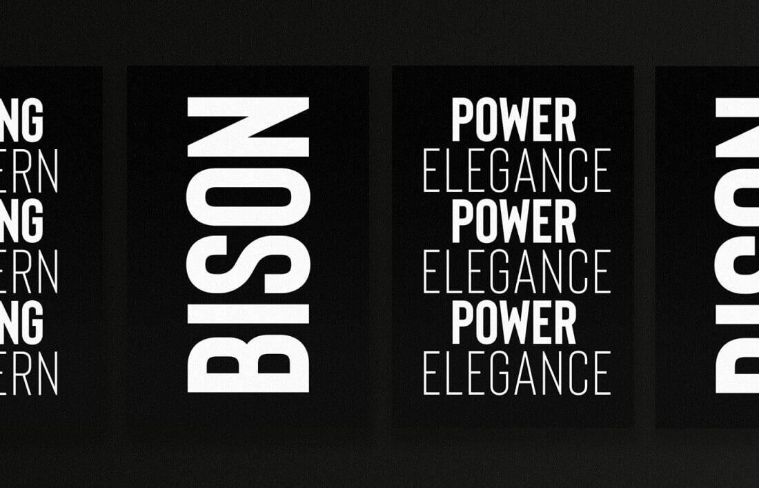 Bison, A Powerful Sans Serif